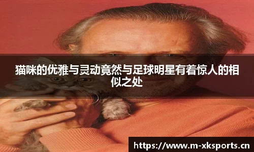 星空体育官网